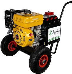 Αγγελής Τροχήλατη Γεννήτρια Ελαιοραβδιστικού Βενζίνης 12V