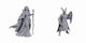 D&d Nolzur's Marvelous Miniatures Limited Edition 50th Anniversary — Elves