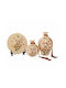 Set of 3 Cream Ceramic Tabletop Decorative Flowers 14x14x22 13x13x15 20x20x2cm