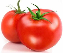 Syngenta Seeds Tomatoς 1000pcs