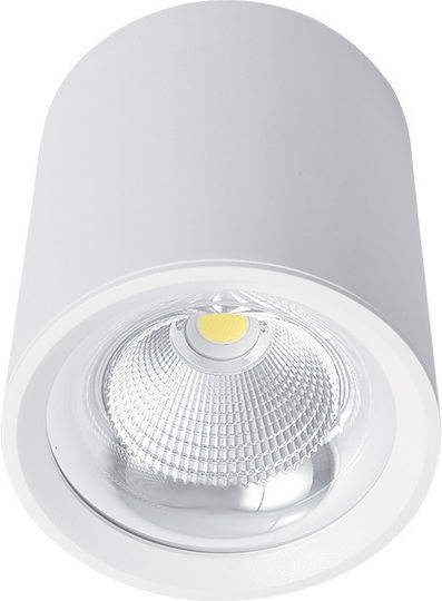 Elmark Single LED Natural White Spot in White Color