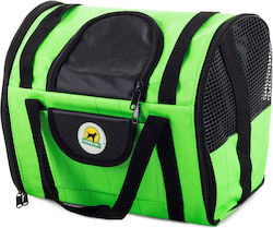 Green Backpack Green Backpack