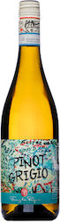 Pasqua Pinot Grigio Doc 750ml Pasqua Pinot Grigio Doc 750ml