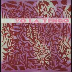 Yo La Tengo I Am Not Afraid You 2 Vinyl