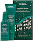 Aveda Botanical Repair Day & Night Strengthening Duo Haarkur-Set für strapaziertes Haar mit Serum und Behandlung 2Stück