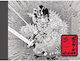 Frank Miller’s Ronin Rising Collector’s Edition Collector S Edition