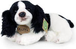 Rappa Plush Dog 27 cm