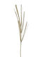 Iliadis Christmas Decorative Branch 74cm Wild Reed