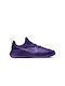 LeBron TR 1 Men's Sport Shoes Training Court Purple Action Grape