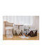 Liolios Home Läufer Cappuccino 40x160cm