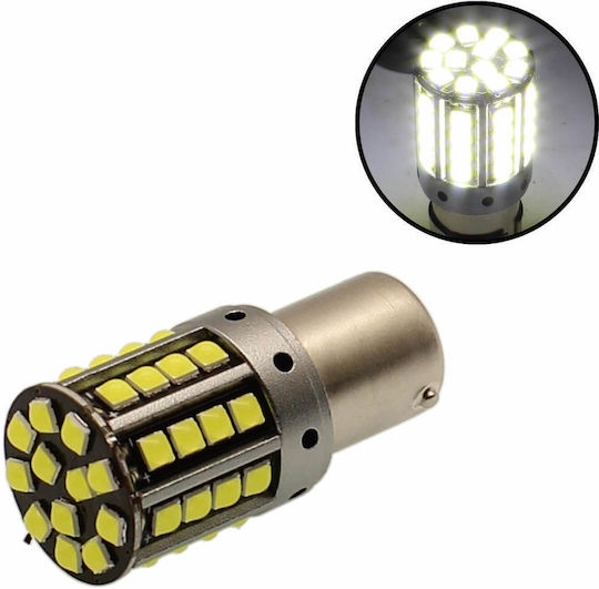 Car Lamp Canbus LED 6000K Cold White 12-24V 19W