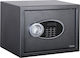 Seif Electronic 25eu