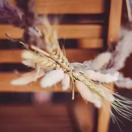 Αποξηραμενο Σταχυ 70g 60cm Beauty Home