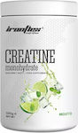 Ironflex Nutrition Creatine Monohydrate Mojito 500gr