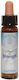 Crystal Herbs Αιθέριο Έλαιο 10ml