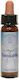 Crystal Herbs Αιθέριο Έλαιο 10ml