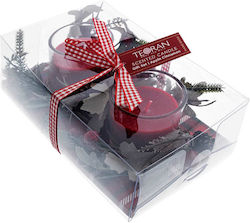 Teoran Red Candle Teoran Apple Cinnamon 2 Pieces