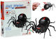 Educational Game Knowledge for 4-6 Years Old