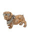 Goldener Polyresin-Hund mit Brille 22x12x15cm 88343 Iliadis