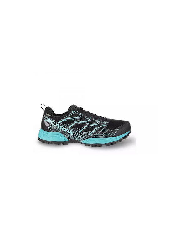 Scarpa
