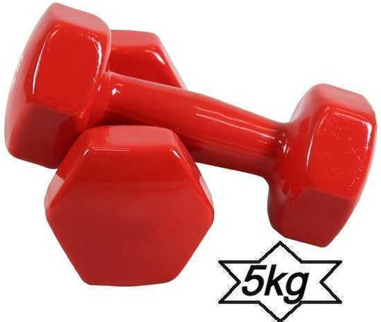 Vinyl Dumbbell 1 x 5kg