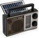 Mk-151BT Solar mit Bluetooth und USB Braun