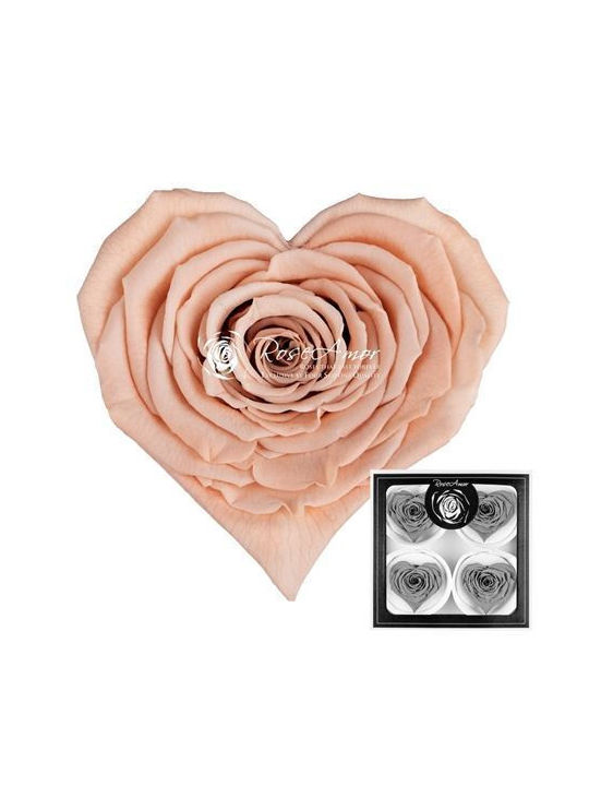 Preserved Roses Corazon Bella Peach 01 4 Pieces