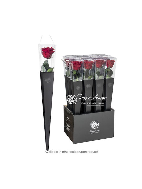 Αποχυμωμένα Τριαντάφυλλα 50cm Lori Red 01