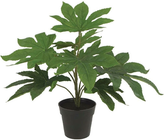 Arbore Calathea Verde Real Touch Ghiveci H35cm 24/kib 04-20045
