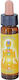 Crystal Herbs Ätherisches Öl 10ml