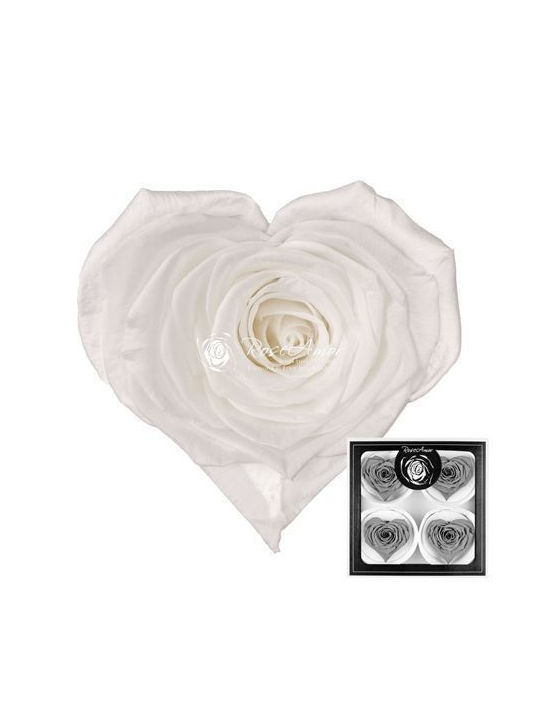 Preserved Roses Corazon Bella White 01 4 Pcs