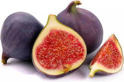 Figs 350gr 2101545000000