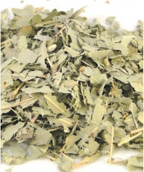 Eucalyptus 30g Divinum