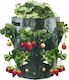 Pot Cascade Vegetables Hanging Truscumbers Poodle Pockets 35cm