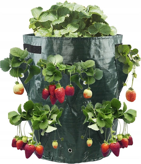 Pot Cascade Vegetables Hanging Truscumbers Poodle Pockets 35cm