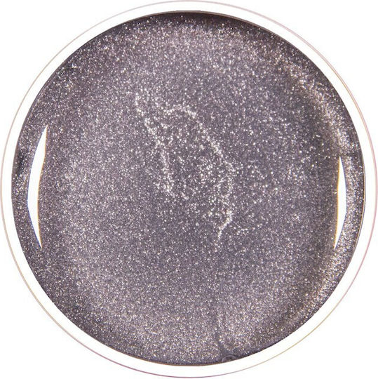 Alezori Spider Nail Art Gel Falsche Nagelgel FLASH SILVER 5gr