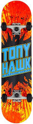 Tony Hawk SS 180 7.75" Komplett Kurzboard Mehrfarbig Tony Hawk SS 180 7.75" Komplett Kurzboard Mehrfarbig