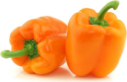 Peppers Πράσινες Πιπερίες Imported from 200gr 2104170000000 Peppers Πράσινες Πιπερίες Imported from 200gr 2104170000000
