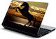 Αυτοκόλλητο Laptop Άλογο 11 6" 29cm X 21cm