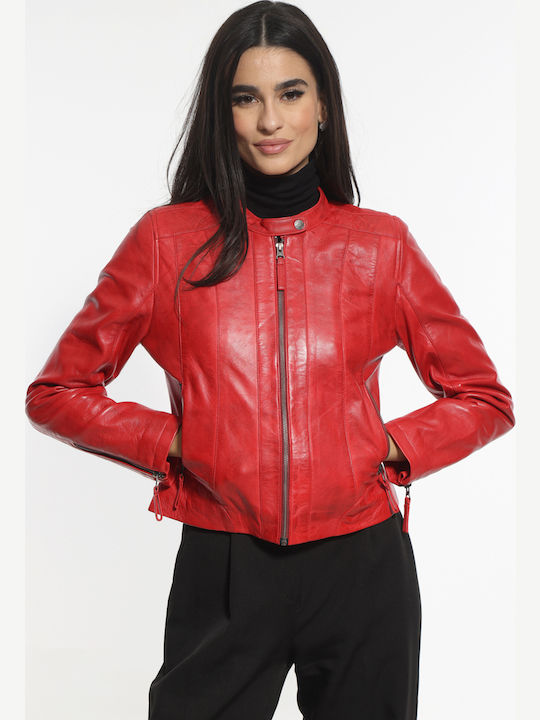 Newton Leather 3123