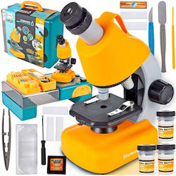 Multifunktionales Wissenschaftliches Mikroskop Kinder Idealstore Abmessungen 16 x 10 x 22,5 cm Enthält 3 Vergrößerungslinsen Zahlreiche Zubehörteile LED-Lichtbeleuchtung Höhenverstellbar Tragekoffer Multifunktionales Wissenschaftliches Mikroskop Kinder Idealstore Abmessungen 16 x 10 x 22,5 cm Enthält 3 Vergrößerungslinsen Zahlreiche Zubehörteile LED-Lichtbeleuchtung Höhenverstellbar Tragekoffer