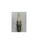 Chainsaw Spark Plug