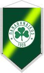 Satin Banner Panathinaikos N8