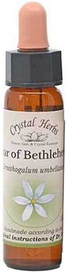 Crystal Herbs Αγριόκρινο (star Of Bethlehem) Ανθοΐαμα 10ml 1τμχ