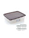 Plastic Lunch Box Brown 2500ml