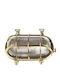 Lido Wall-Mounted Outdoor Turtle Light