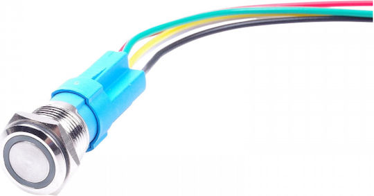 Raistar Διακόπτης On/Off Αυτοκινήτου 12V-24V Ασημί