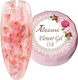 Alezori Nail Gel 04 6gr