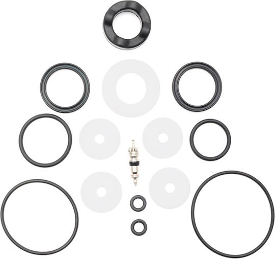 Service Kit Cannondale Lefty Oliver 100 Hours