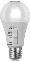 Eurolamp Λαμπτήρας Grow Light 9W Eurolamp Λαμπτήρας Grow Light 9W